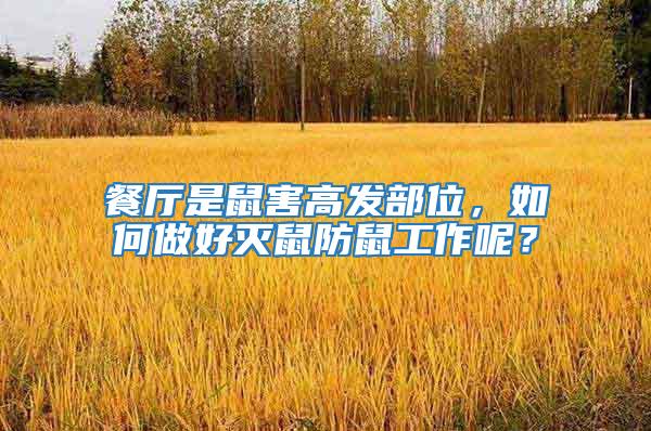 餐廳是鼠害高發部位，如何做好滅鼠防鼠工作呢？