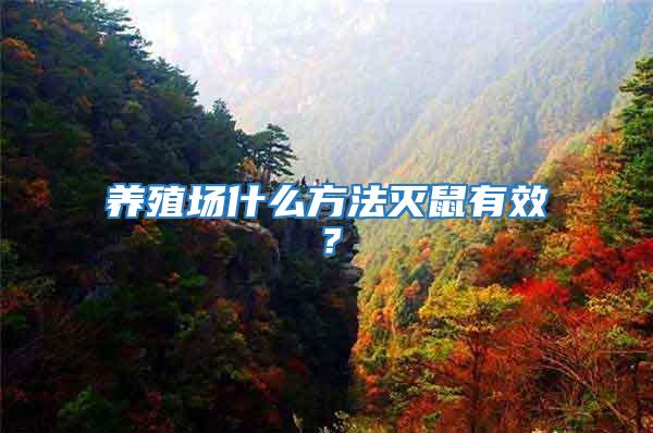 養殖場什么方法滅鼠有效？