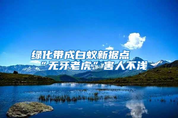 綠化帶成白蟻新?lián)c “無牙老虎”害人不淺