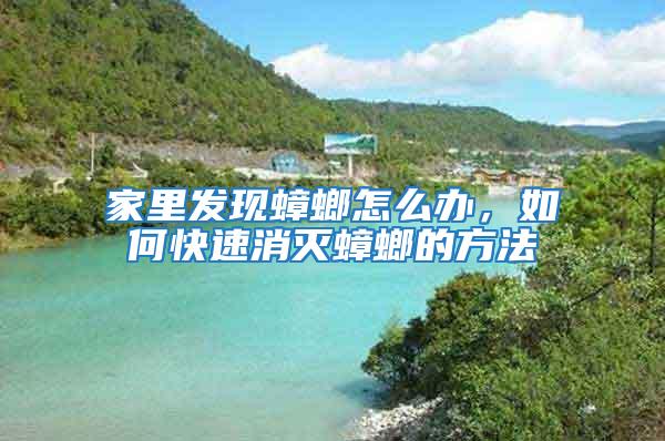 家里發(fā)現(xiàn)蟑螂怎么辦，如何快速消滅蟑螂的方法