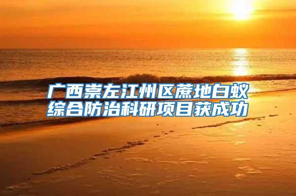 廣西崇左江州區(qū)蔗地白蟻綜合防治科研項目獲成功