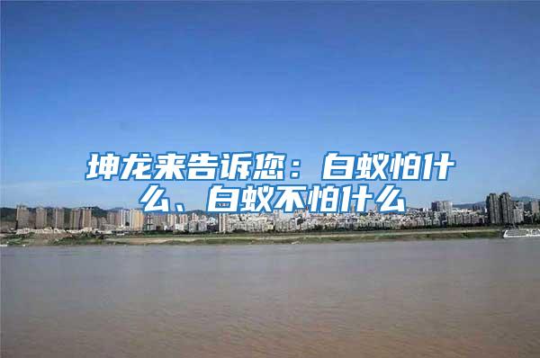 坤龍來告訴您：白蟻怕什么、白蟻不怕什么