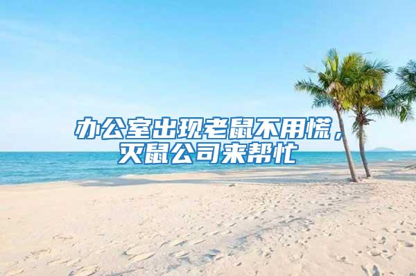 辦公室出現(xiàn)老鼠不用慌，滅鼠公司來(lái)幫忙
