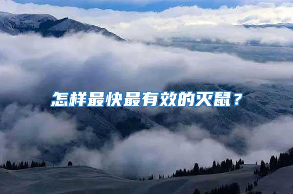怎樣最快最有效的滅鼠？