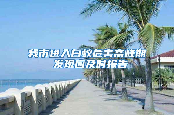 我市進(jìn)入白蟻危害高峰期 發(fā)現(xiàn)應(yīng)及時報告