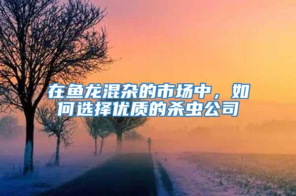 在魚龍混雜的市場中，如何選擇優質的殺蟲公司