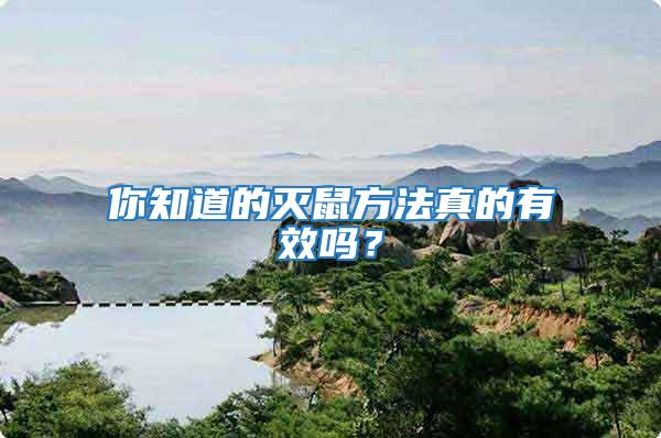 你知道的滅鼠方法真的有效嗎？