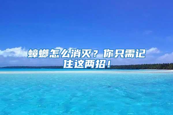 蟑螂怎么消滅？你只需記住這兩招！