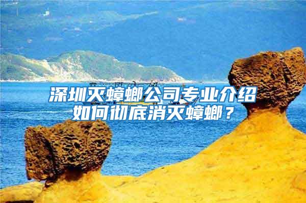 深圳滅蟑螂公司專業(yè)介紹如何徹底消滅蟑螂？