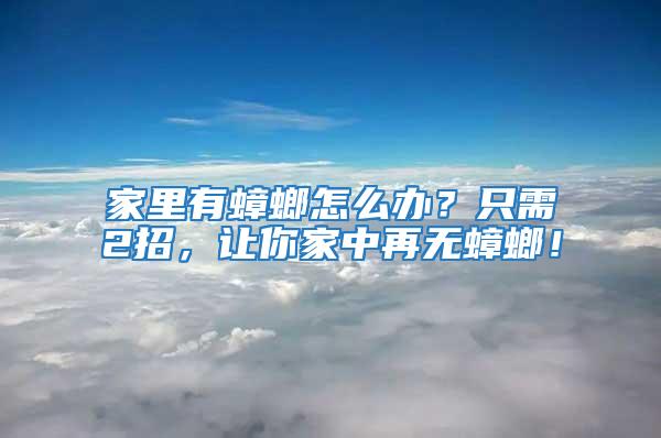 家里有蟑螂怎么辦？只需2招，讓你家中再無蟑螂！