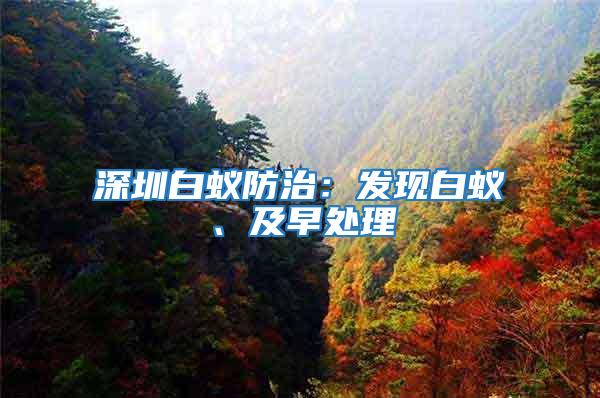 深圳白蟻防治：發現白蟻、及早處理