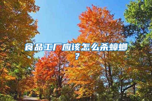 食品工廠應(yīng)該怎么殺蟑螂？