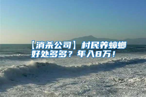 【消殺公司】村民養蟑螂好處多多？年入8萬！