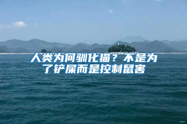 人類為何馴化貓？不是為了鏟屎而是控制鼠害