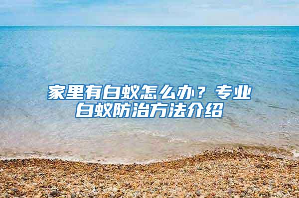 家里有白蟻怎么辦？專業白蟻防治方法介紹