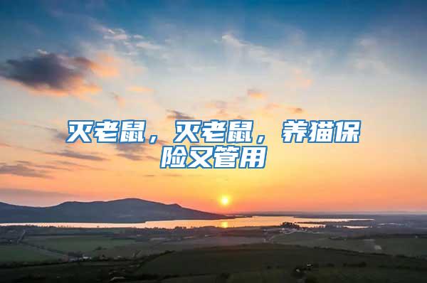 滅老鼠，滅老鼠，養(yǎng)貓保險又管用