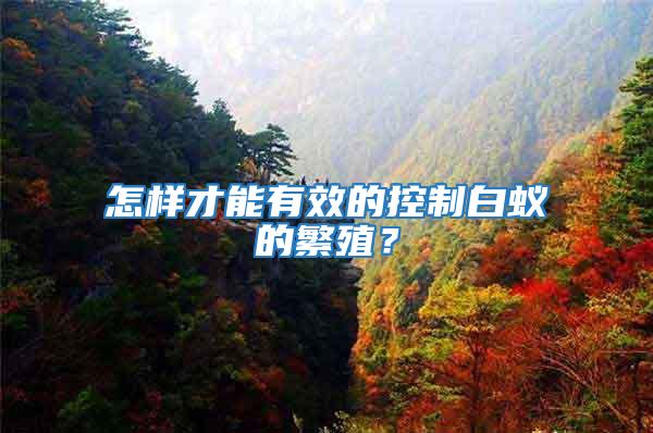 怎樣才能有效的控制白蟻的繁殖？