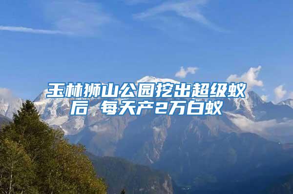 玉林獅山公園挖出超級蟻后 每天產2萬白蟻