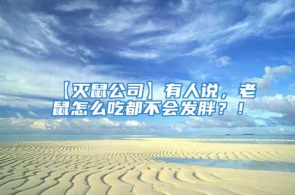 【滅鼠公司】有人說，老鼠怎么吃都不會(huì)發(fā)胖？！