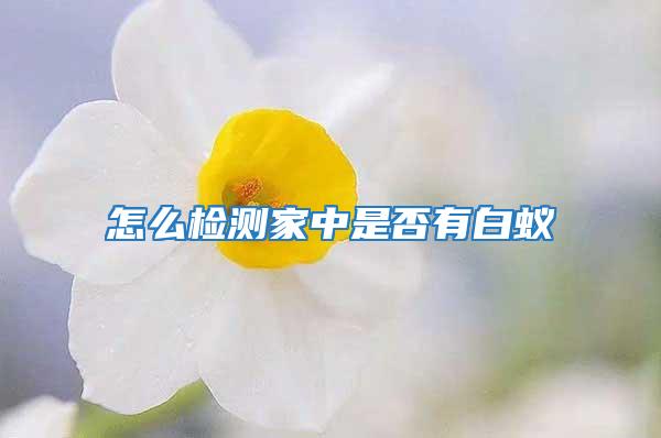 怎么檢測(cè)家中是否有白蟻
