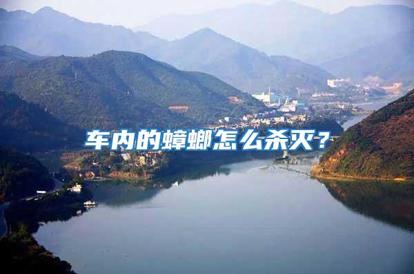 車內的蟑螂怎么殺滅？