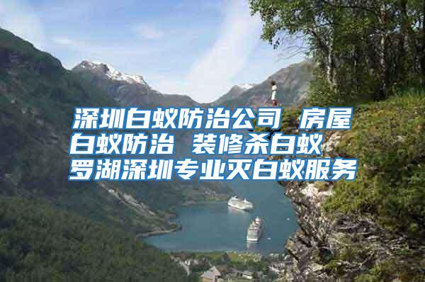 深圳白蟻防治公司 房屋白蟻防治 裝修殺白蟻  羅湖深圳專業(yè)滅白蟻服務