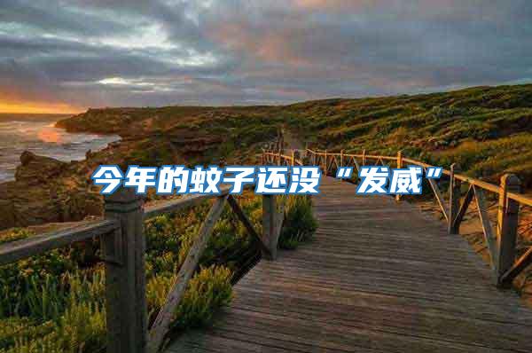 今年的蚊子還沒“發威”