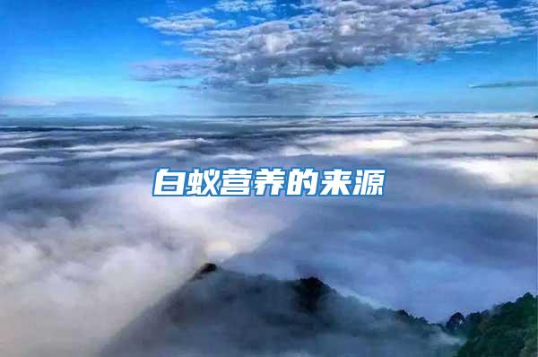 白蟻營養(yǎng)的來源
