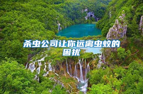 殺蟲公司讓你遠離蟲蚊的困擾