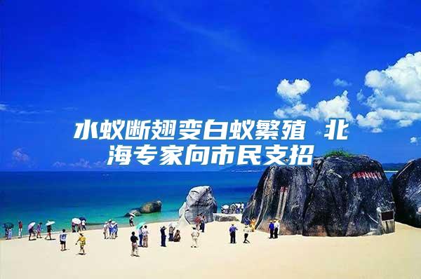 水蟻斷翅變白蟻繁殖 北海專(zhuān)家向市民支招
