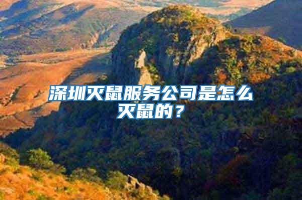 深圳滅鼠服務公司是怎么滅鼠的？