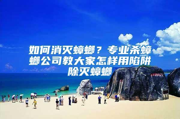 如何消滅蟑螂？專業殺蟑螂公司教大家怎樣用陷阱除滅蟑螂