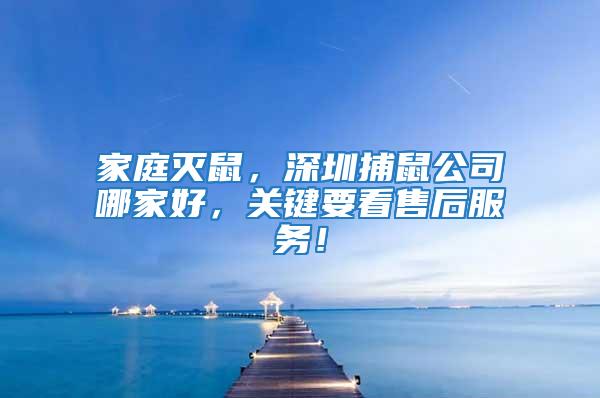 家庭滅鼠，深圳捕鼠公司哪家好，關(guān)鍵要看售后服務！