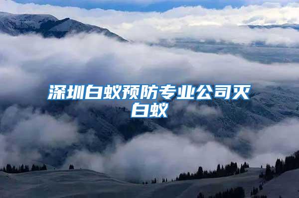 深圳白蟻預(yù)防專業(yè)公司滅白蟻