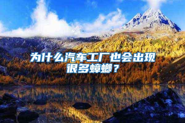 為什么汽車工廠也會(huì)出現(xiàn)很多蟑螂？