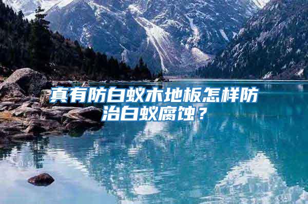 真有防白蟻木地板怎樣防治白蟻腐蝕？