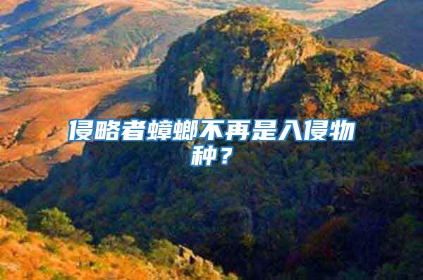 侵略者蟑螂不再是入侵物種？