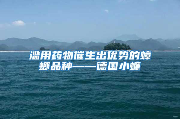 濫用藥物催生出優(yōu)勢的蟑螂品種——德國小蠊