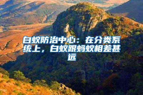 白蟻防治中心：在分類系統上，白蟻跟螞蟻相差甚遠