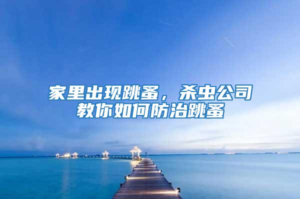 家里出現跳蚤，殺蟲公司教你如何防治跳蚤