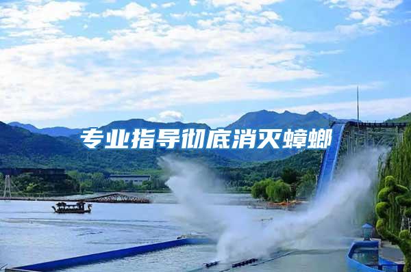專業(yè)指導徹底消滅蟑螂