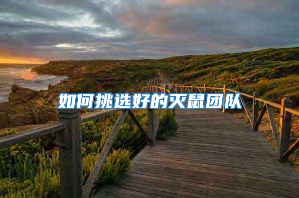 如何挑選好的滅鼠團(tuán)隊