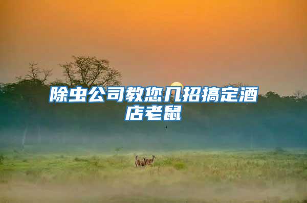 除蟲(chóng)公司教您幾招搞定酒店老鼠