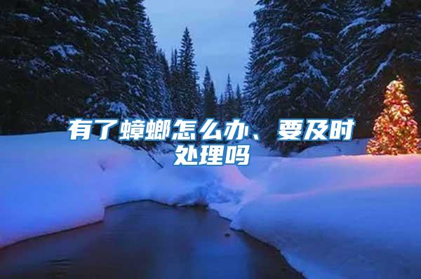 有了蟑螂怎么辦、要及時(shí)處理嗎