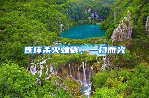 連環(huán)殺滅蟑螂，一掃而光