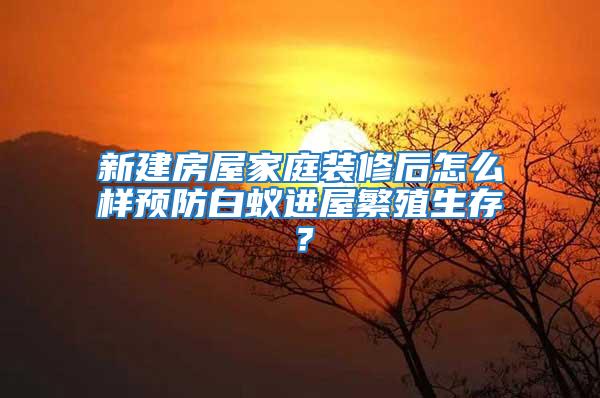 新建房屋家庭裝修后怎么樣預(yù)防白蟻進屋繁殖生存？