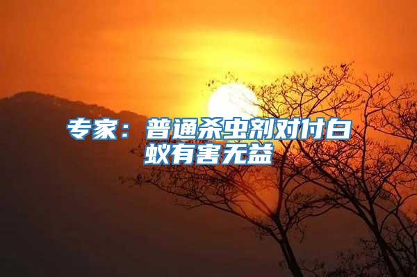 專家：普通殺蟲劑對(duì)付白蟻有害無益