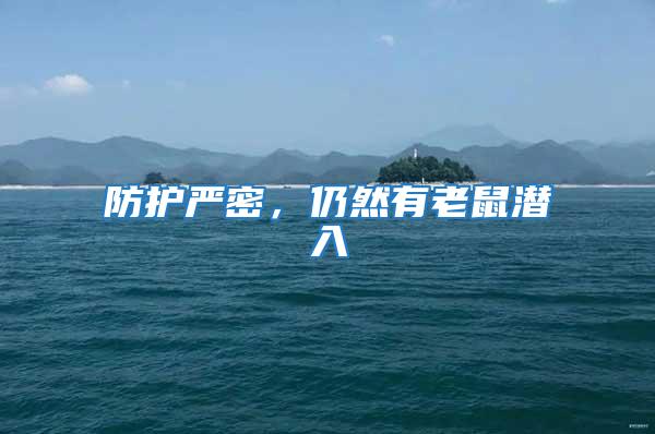 防護(hù)嚴(yán)密，仍然有老鼠潛入