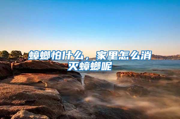蟑螂怕什么，家里怎么消滅蟑螂呢
