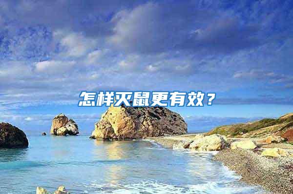怎樣滅鼠更有效？